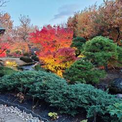 Helaas was de atmosfeer in de vlakke landschapstuin niet in foto's te vangen...