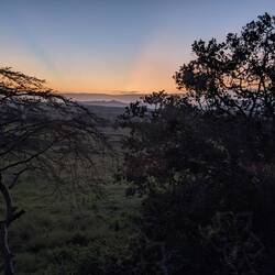 Sonnenaufgang in der Serengeti