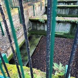 Old abandoned railway station for Botanics