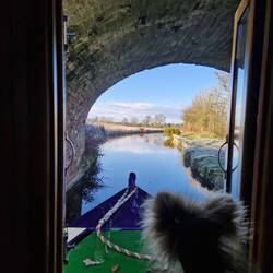 The dogs travel inside Rainboat in the chilly weather