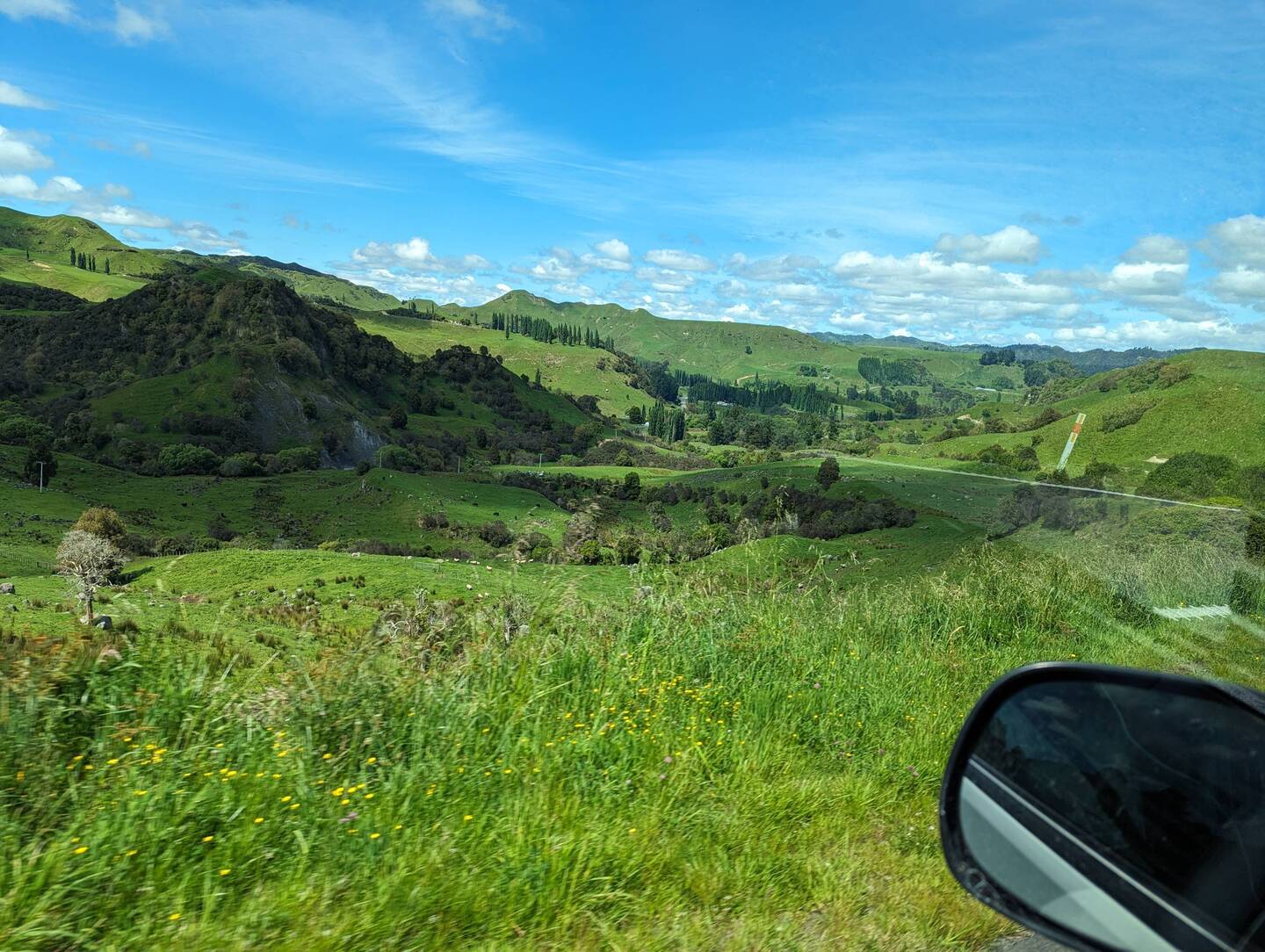 Wie aus dem Bilderbuch - grüne Hügel in Neuseeland