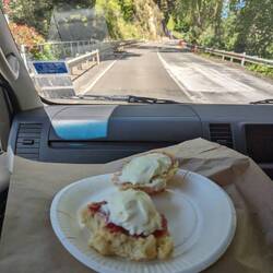 Während der Fahrt gab es Scones mit Sahne und Marmelade 😋