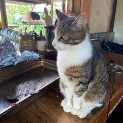 Ihr hat's geschmeckt 🤪