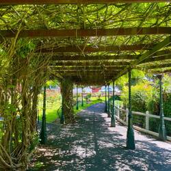 Cave Gardens in Mt Gambier 🪴