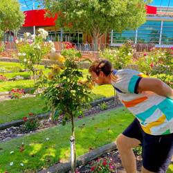 Pascal im Rosenfeld 😂🌹