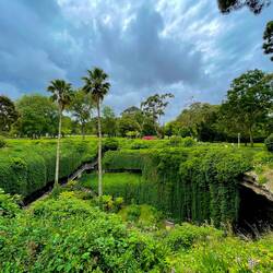 Umpherston Sinkhole in Mt Gambier