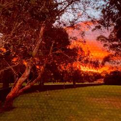 Golden Hour in Millicent 🥰