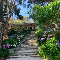 Stairway to heaven 🌺