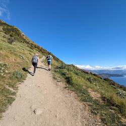 Auf geht's 1300hm auf den Roy's Peak