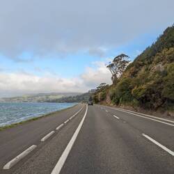 Dann geht's weiter auf die Otago Peninsula