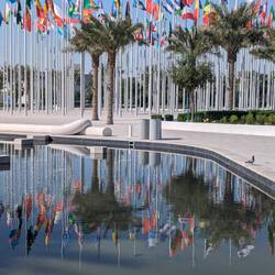 For a desert, they sure use water