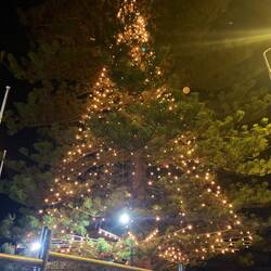 By the way: it's christmas time (we keep forgetting) 😃