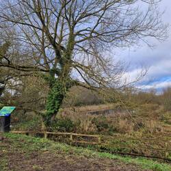 Nature reserve by Aston Locks