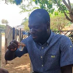 Sodabi. Alcool blanc très fort qui se consomme avant les repas