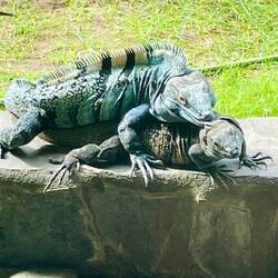 Wss soll man auch den lieben langen Tag sonst so machen 😇!