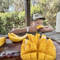 These mangoes where huge 😮
