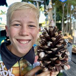 Christmas Tree for the van ✅