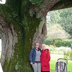 Check out the size of this beautiful rakau - tree, Tralee park, Ireland