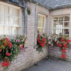 Even the flower beds, stunning!