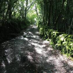 The way up the mountainside to the Gypsy Caravan