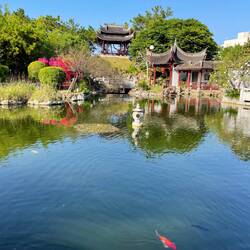 The pond in "Fukushu Garden" in Naha, Okinawa