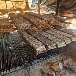 Die Fische von Matze und Christian