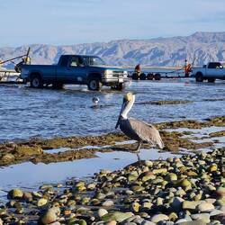 In der Nähe von Isla San Luis Gonzaga