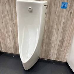 A Japanese pissoir on one of the public toilets