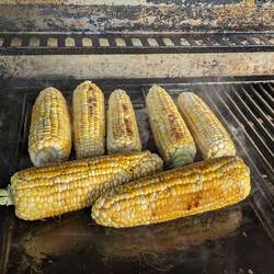 Best sweet corn!