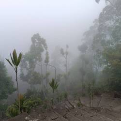 Foggy weather, but luckily no rain, for now.