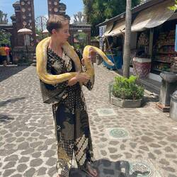 Holding white python