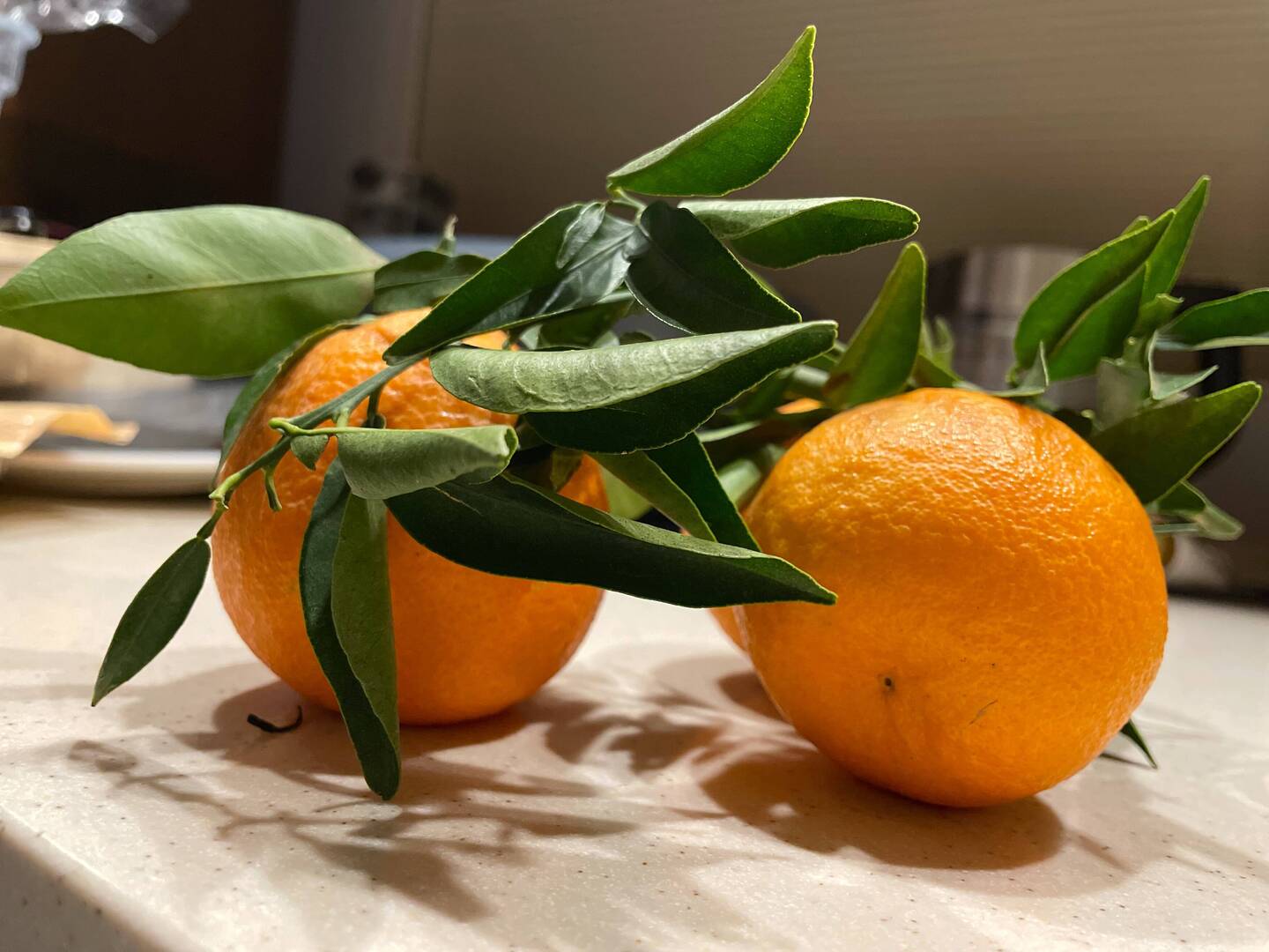 Mandarinen sus Marokko