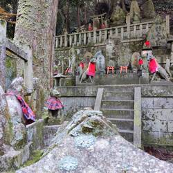 En hier hebben alle vossen schortjes