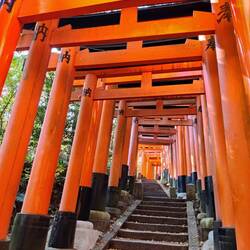 Eindelijk 20 meter ver geen toerist te bekennen