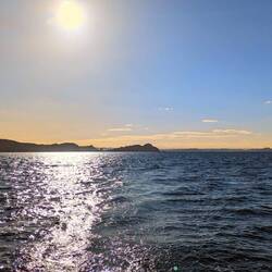 Running back to the islands