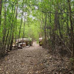 We went on many walks through nature