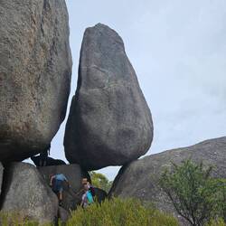 This was on the way up to massive granite boulders with a viewing platform