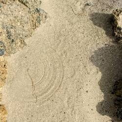 Seltsame Kreise im Sand...