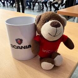 Der briOBär ist natürluch bei diesem Event dabei.