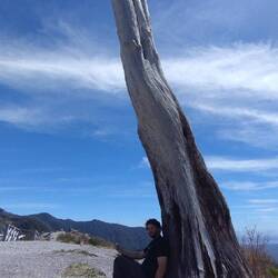 Der einzige schattige Platz am Ziel, dem alten Vulkankrater