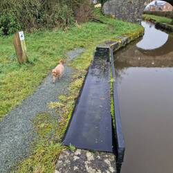 There are loads of canoe launch points along the Monty