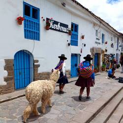 In der Altstadt von Cusco 🦙