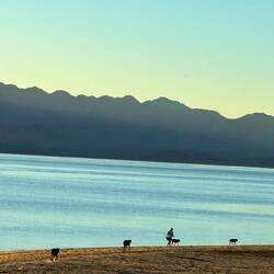 Morgendliche Wanderung am Strand