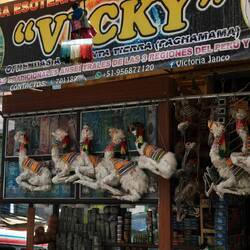 Witches Market