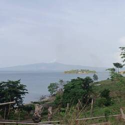 ...not only because they are often nicely curved...