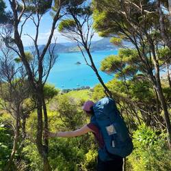 Die Knie sind weich wie Pudding