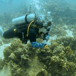 Fun fact: under water red is the first colour that disspears due to the wave length