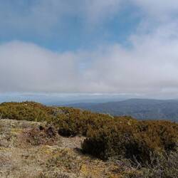 zoom in the middle and see the peaks of vulcanos