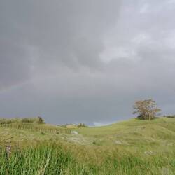 just right before I finished walking