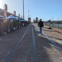Wynyard Quarter